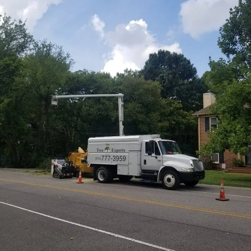 Tree Service in Nashville, TN